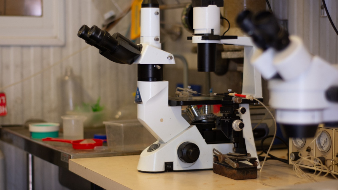 Microscope