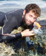 Omer Cohen