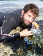 Omer Cohen
